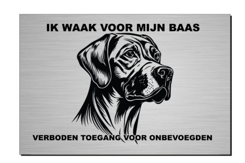 Ik waak voor mijn baas Nala, aluminium of wit dibond, rhodesian ridgeback