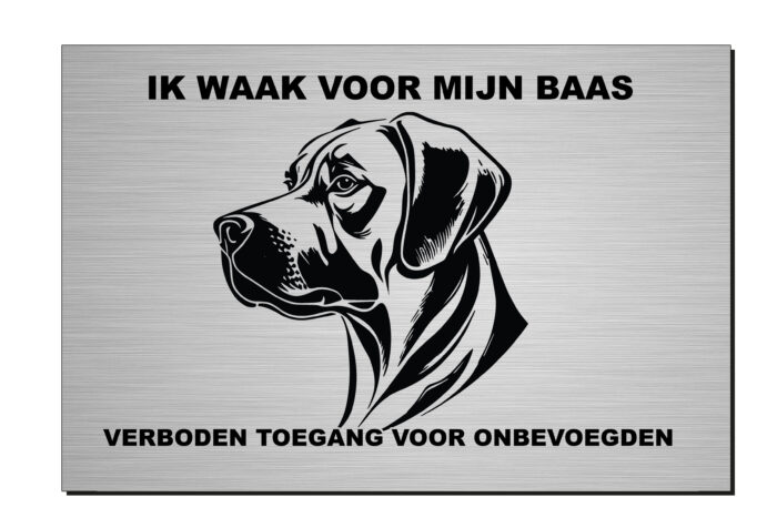 Ik waak voor mijn baas Rufaro, aluminium of wit dibond, rhodesian ridgeback