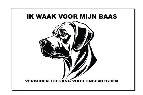 Ik waak voor mijn baas Rufaro, aluminium of wit dibond, rhodesian ridgeback