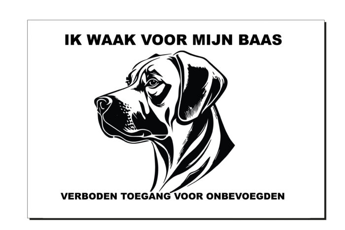 Ik waak voor mijn baas Rufaro, aluminium of wit dibond, rhodesian ridgeback