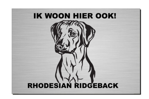 Ik woon hier ook, Aza, aluminium of wit dibond, rhodesian ridgeback