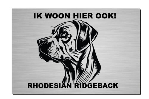Ik woon hier ook, Enyi, aluminium of wit dibond, rhodesian ridgeback