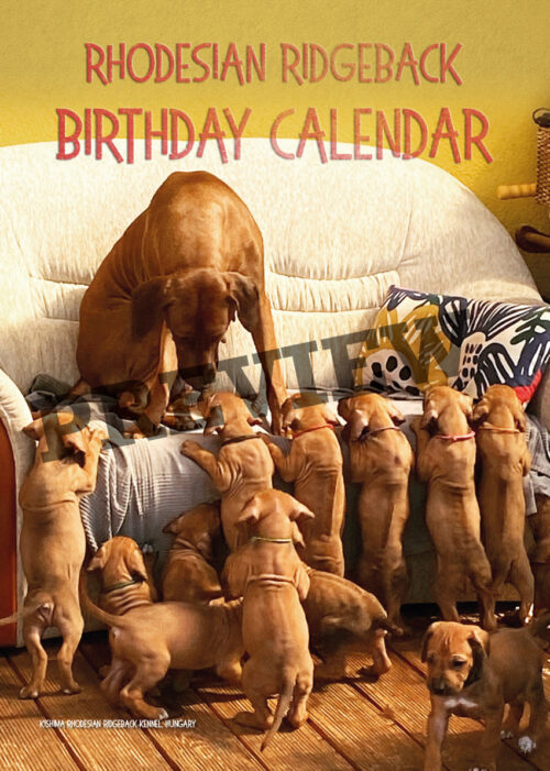 verjaardagskalender, ridgeback, rhodesian ridgeback, pronkrug, european ridgeback