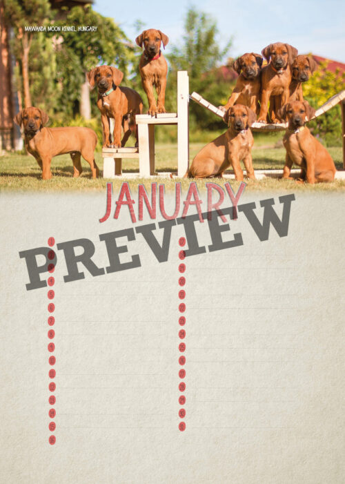 verjaardagskalender, ridgeback, rhodesian ridgeback, pronkrug, european ridgeback