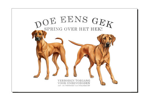 Doe eens gek, spring over het hek! (Zenzhele en Zakhele)