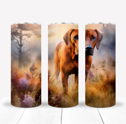 Tumbler Dixie, Rhodesian Ridgeback, RR