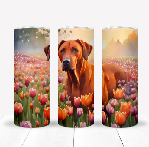Tumbler Dutch, rhodesian ridgeback shop, tumblers