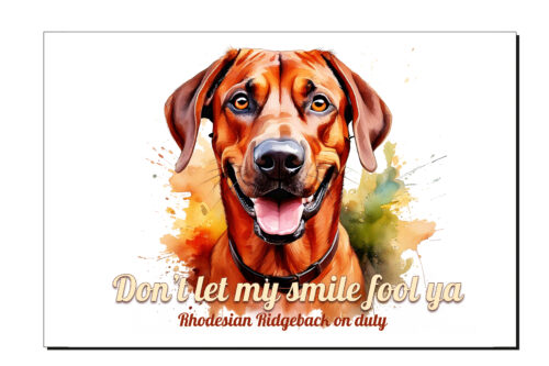 don't let my smile, rhodesian ridgeback, waakbord