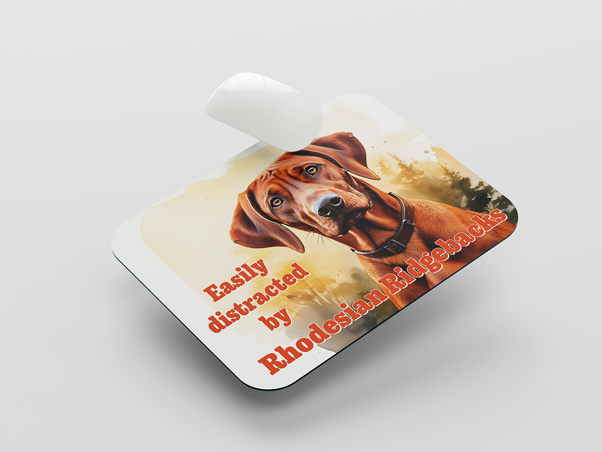 Muismat Leia, Rhodesian Ridgeback, easily distracted by Rhodesian Ridgebacks
