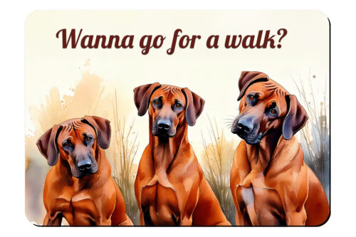 Wanna go for a Walk - Marx Brothers, Rhodesian Ridgeback